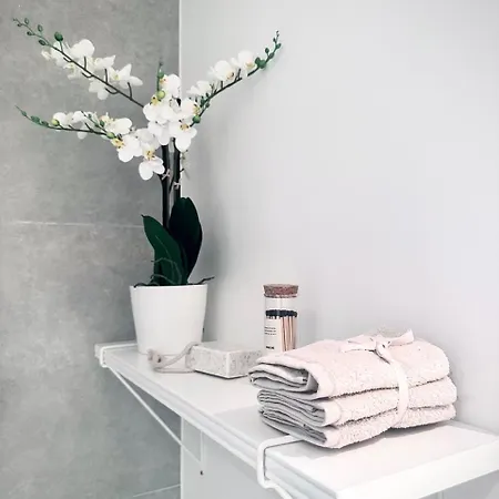 Magnificent In Sablon Apartment Brussels