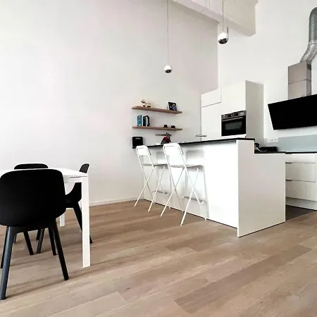 Spacious Loft Up To 4 Guests Comfort & Style In Apartment Brussels
