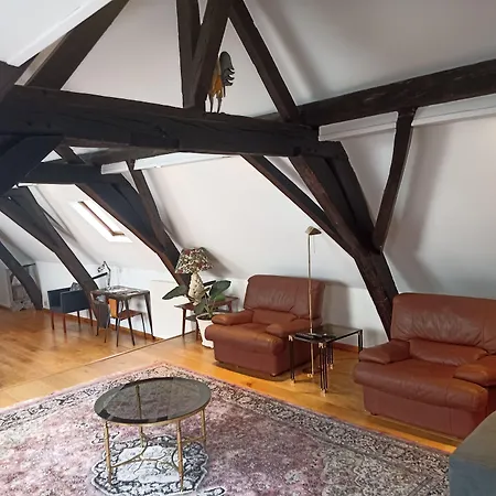 Duplex Centre Historique Apartment Brussels