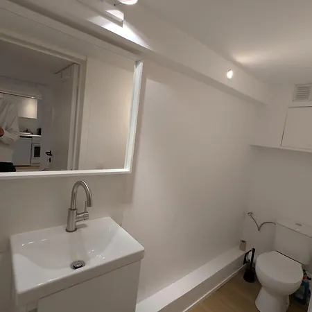 Cozy Nest Basement St Gilles Apartment Brussels