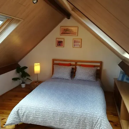 Chez Odak Apartment Brussels