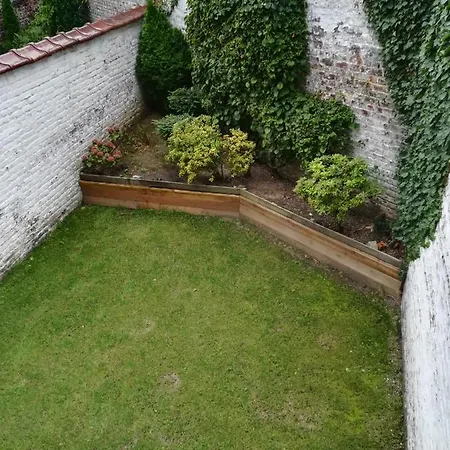 Chez Odak *