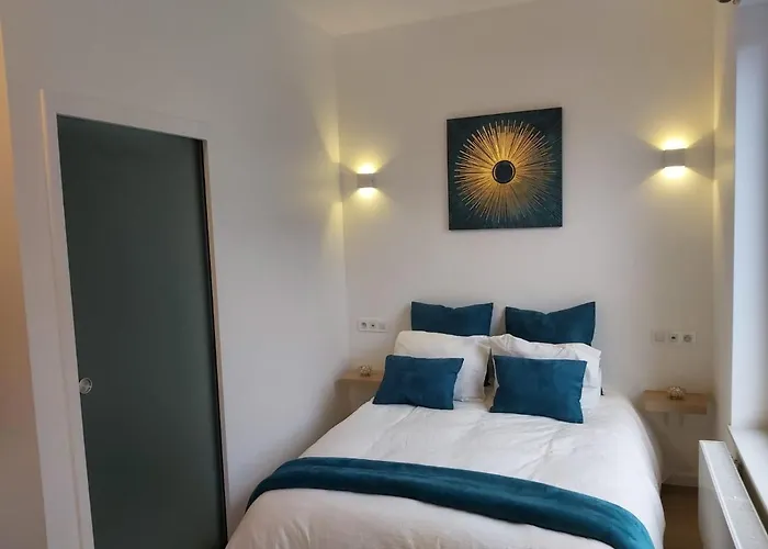 Logement Luxueux Dans Le Coeur De Bruxelles
