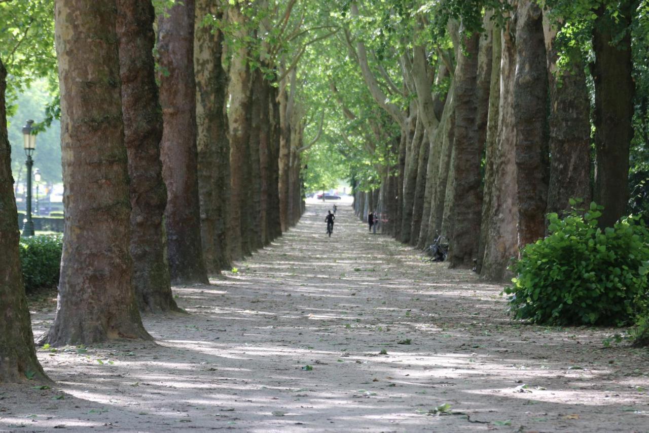 Bed & Breakfast Les Iris *