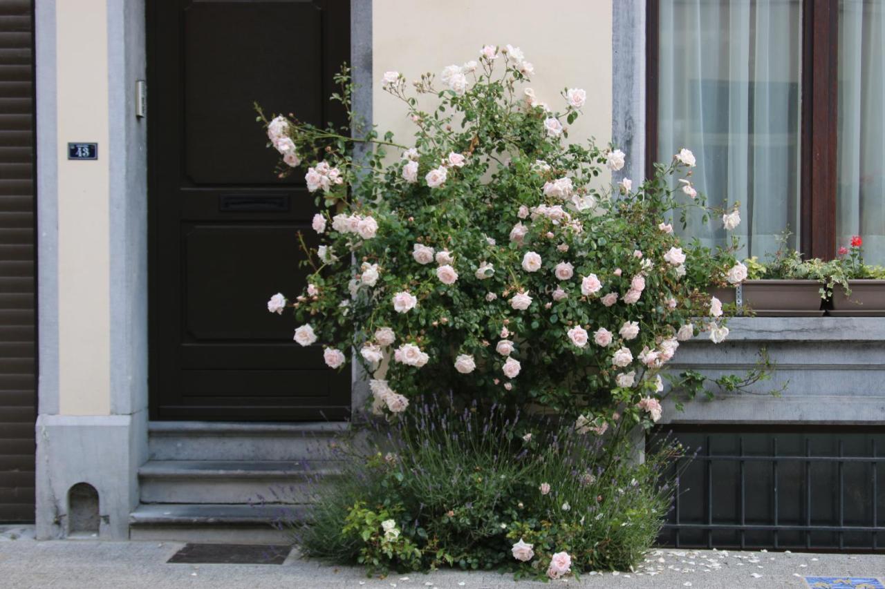 Bed & Breakfast Les Iris *