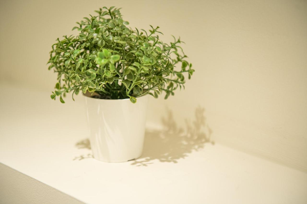 Spacious Modern Appartments In The Heart Of Brussels