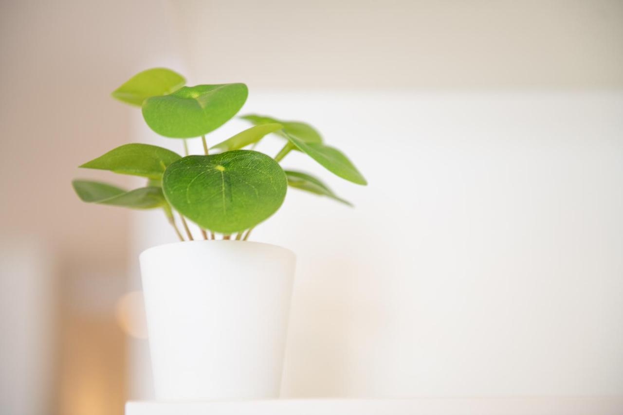 Spacious Modern Appartments In The Heart Of * Brussels