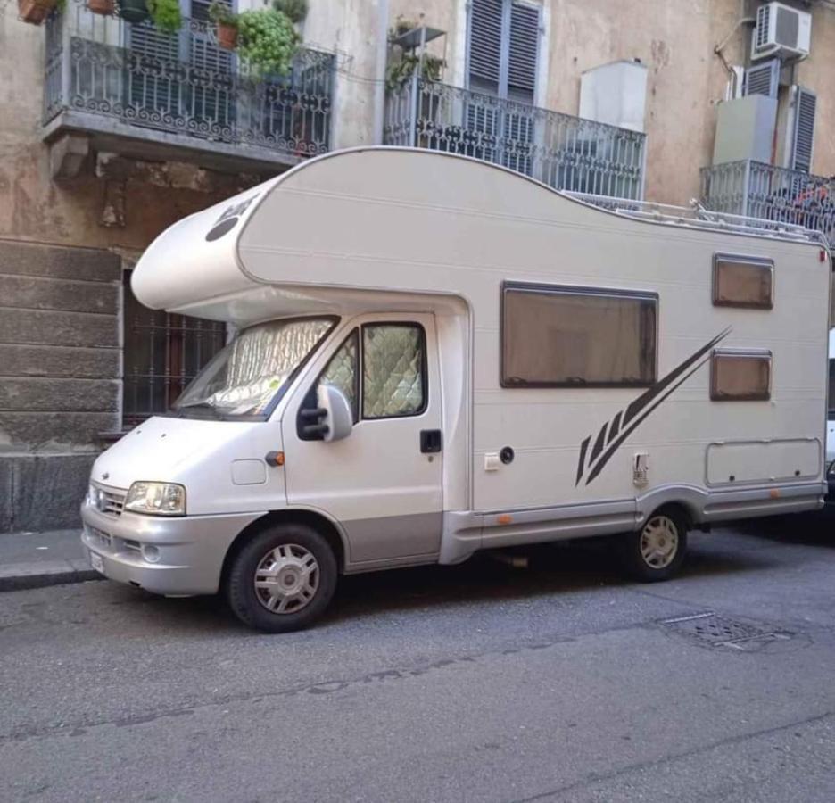 Lina Camper Campsite Brussels