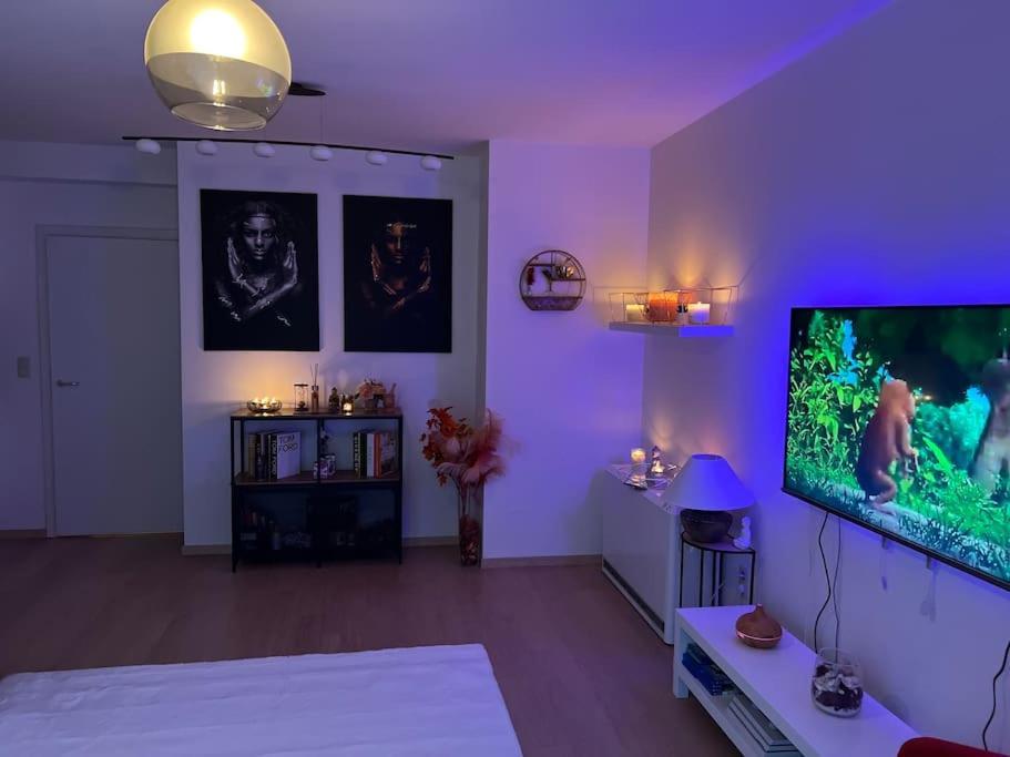 Apartment Appart En Plein Centre