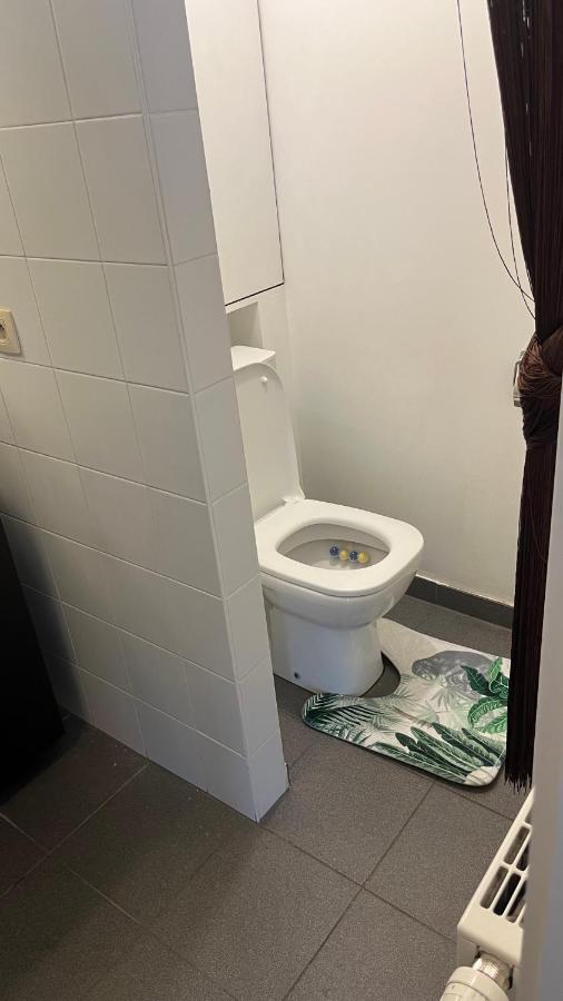 Duplex Tres Agreable Et Tres Calme Apartment