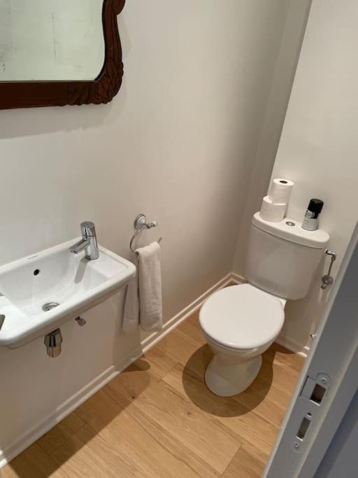 Glaciere 10 Ma Campagne * Brussels