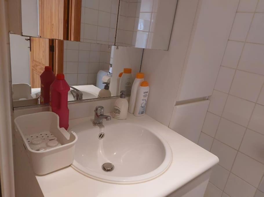 Apartment Charming 1-bedroom