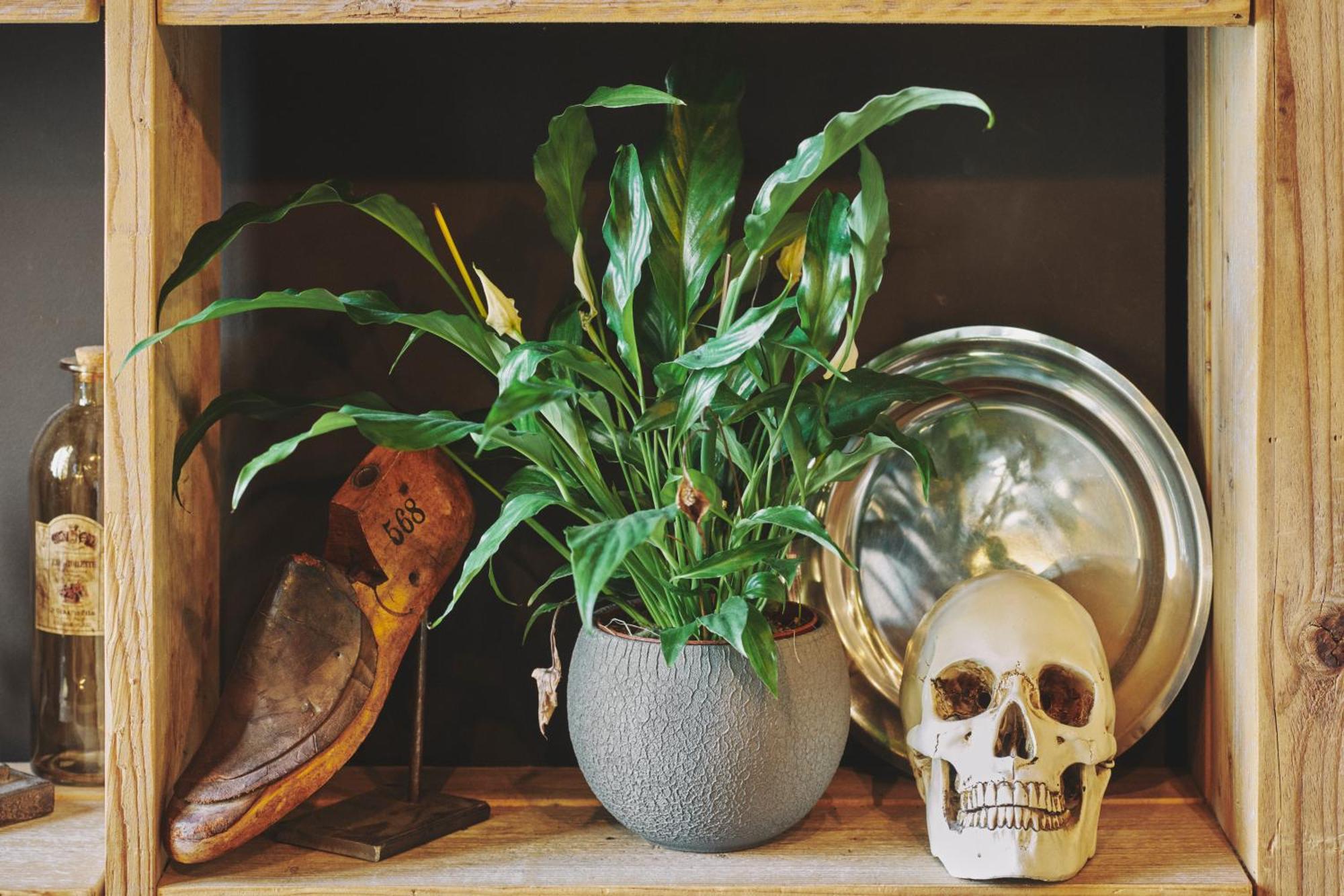 The Legacy By 2go4 Center