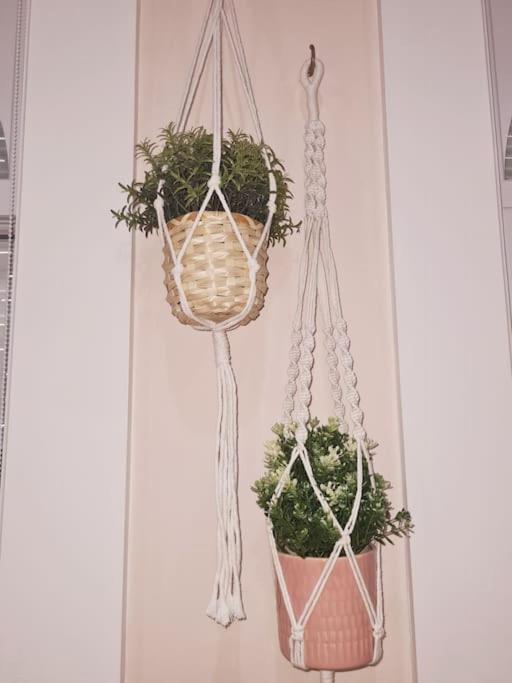 Magnolia Pink New And Fully Equipped Apartment Brussels