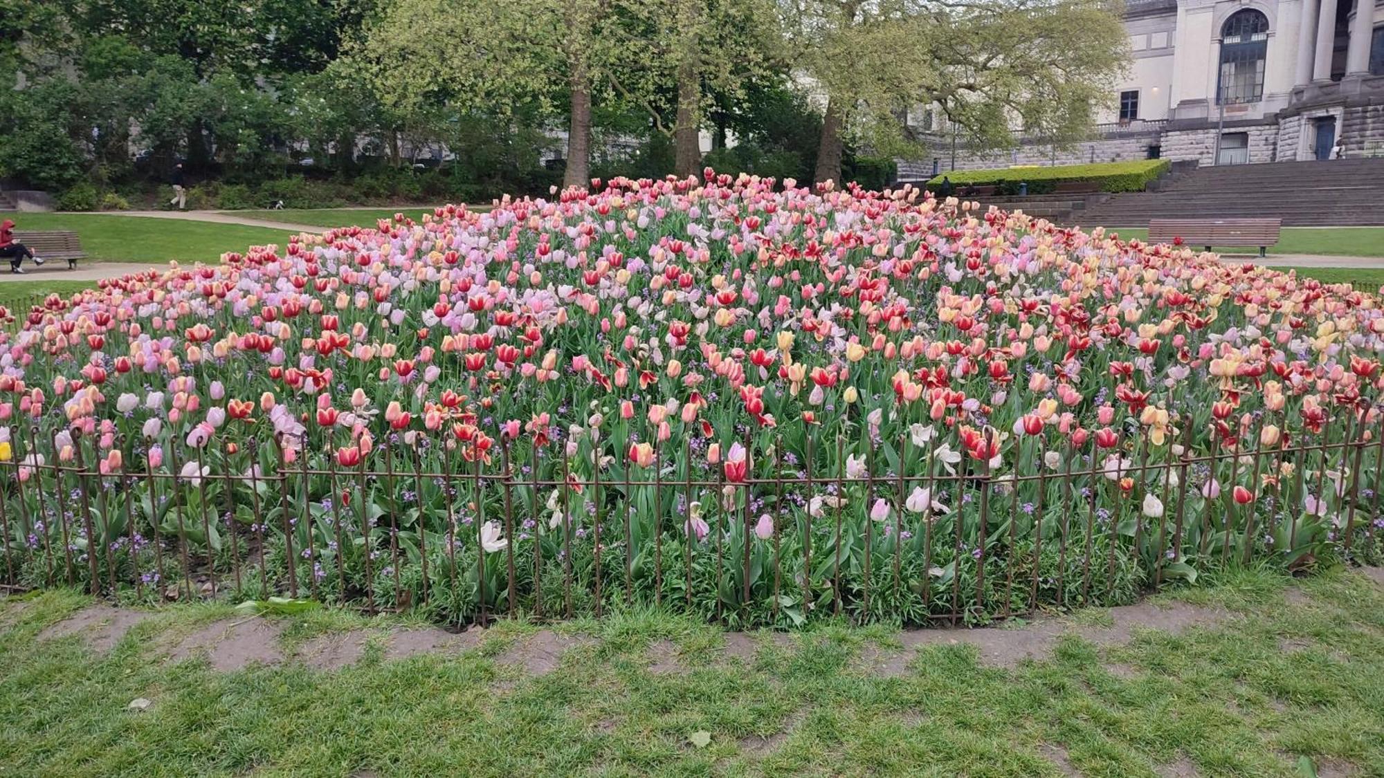 Charming In Etterbeek 70 M² With Balcony Brussels