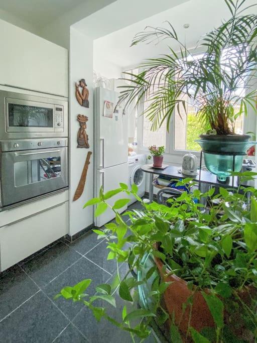 Elegance ,space & Luxury In Căn hộ Brussels