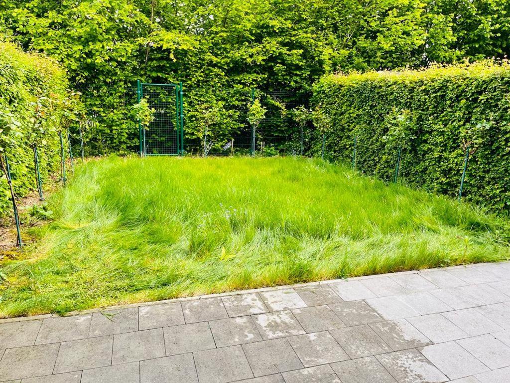 Town House With Garden - 1 With Shared Bathroom Homestay *