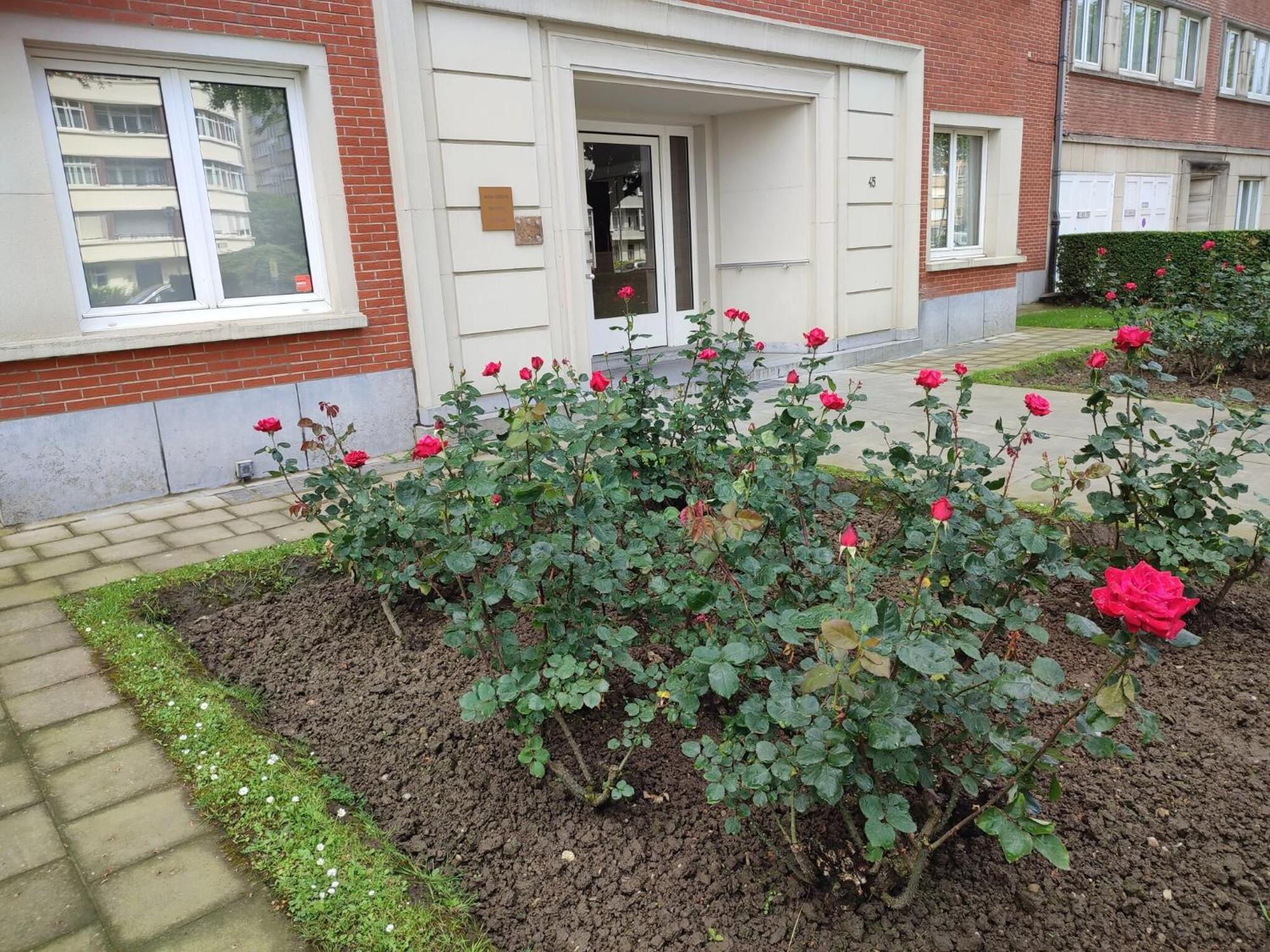 Charming In Etterbeek 70 M² With Balcony * Brussels