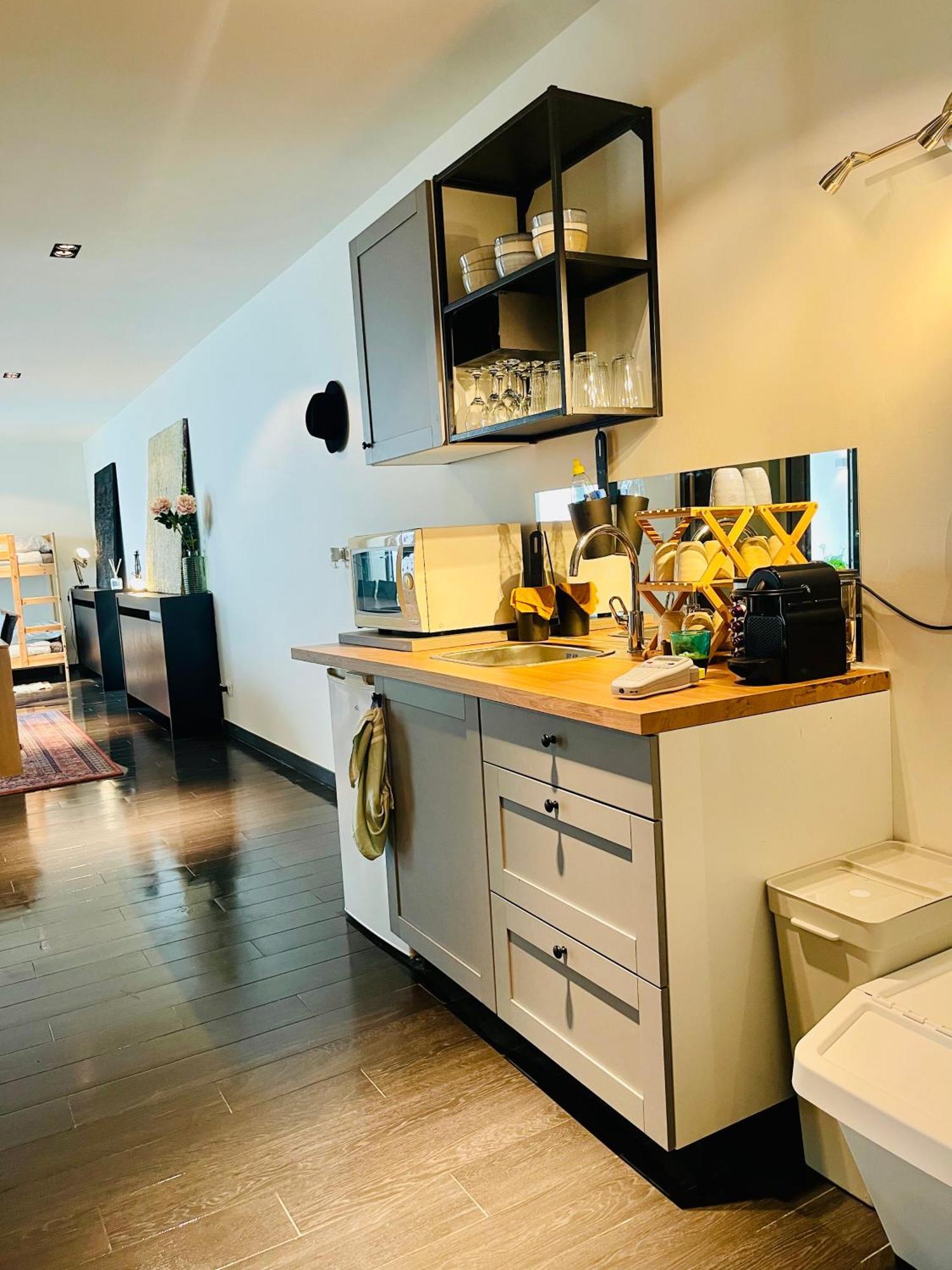 Căn hộ Down Town Spacious Loft Retreat With Private Parking Brussels