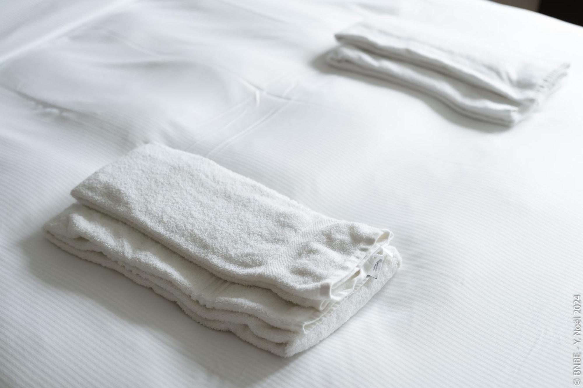 La Louve - Big Place & Garden - Parking Gratuit * Brussels