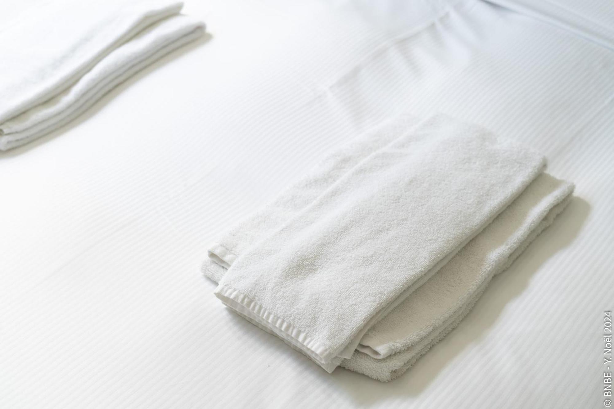 La Louve - Big Place & Garden - Parking Gratuit Villa Brussels