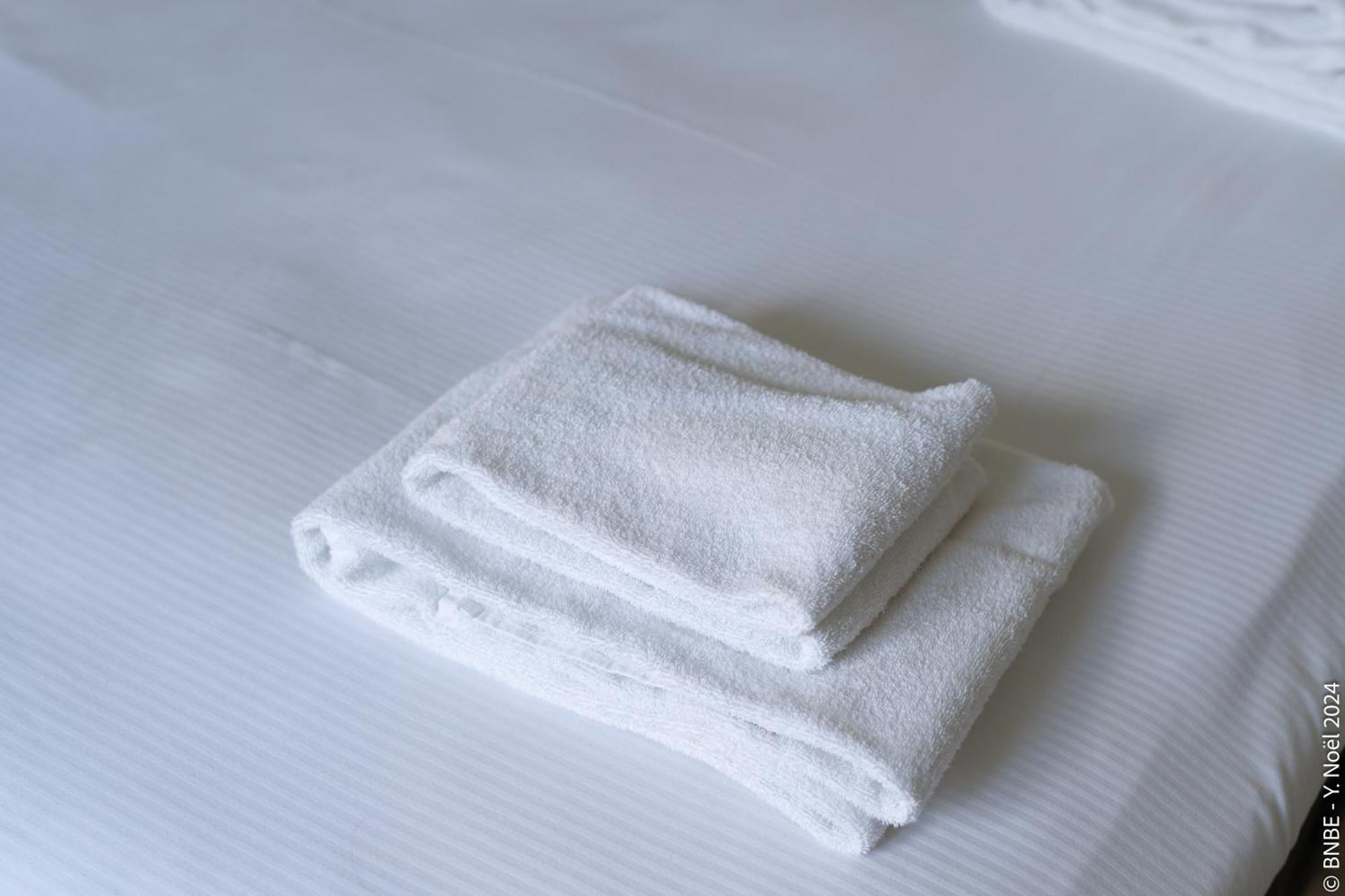 La Louve - Big Place & Garden - Parking Gratuit *