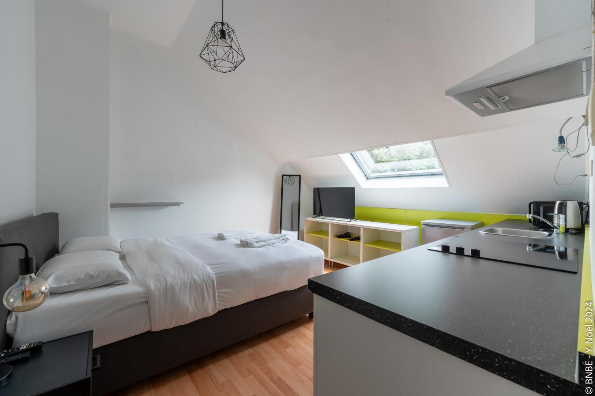 La Louve - Big Place & Garden - Parking Gratuit * Brussels