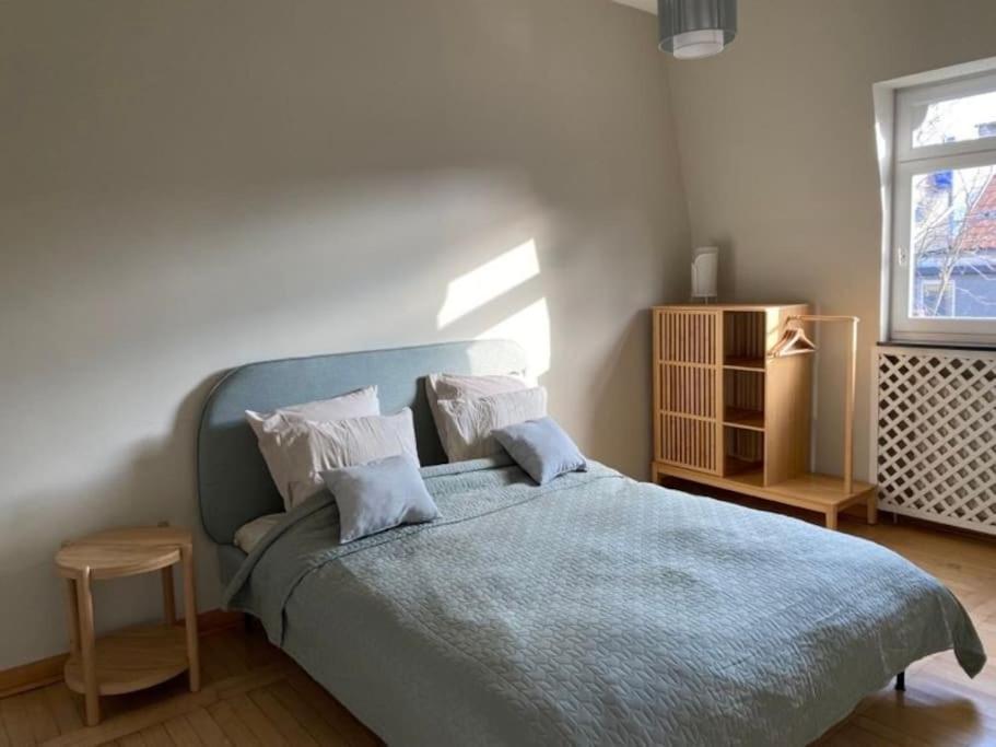 Spacieux Duplex D'architecte Appartement Brussel