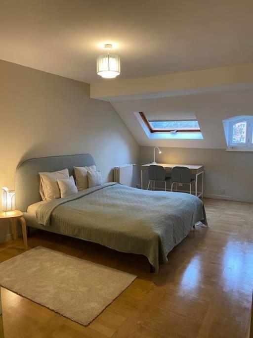 Spacieux Duplex D'architecte Appartement *
