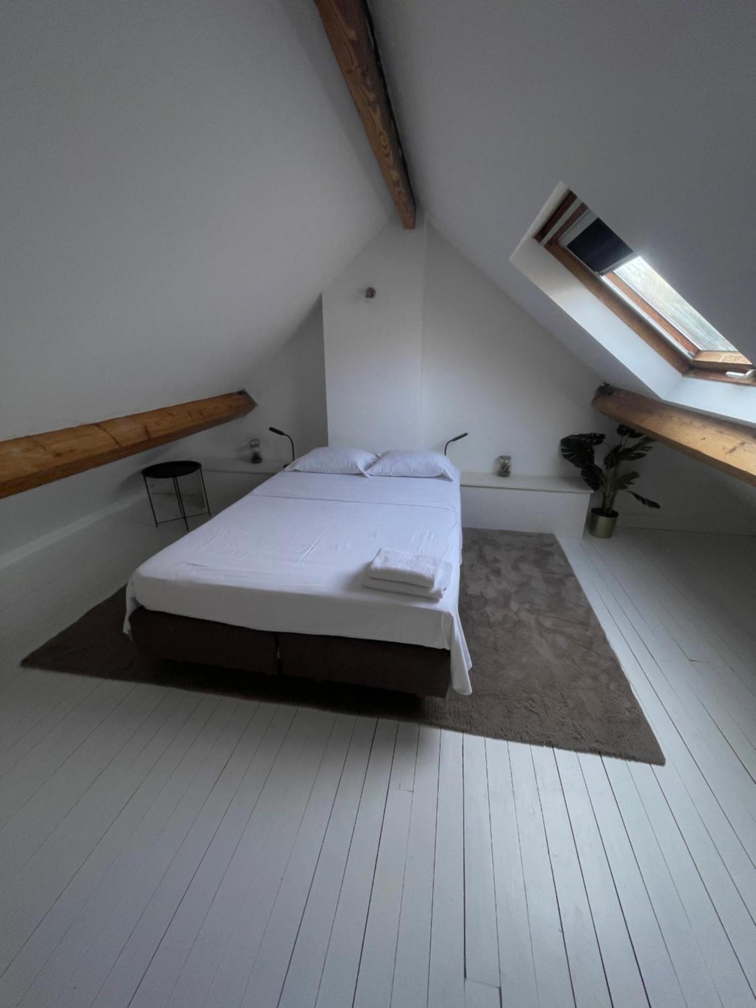 Attic European Quarter Apartment *