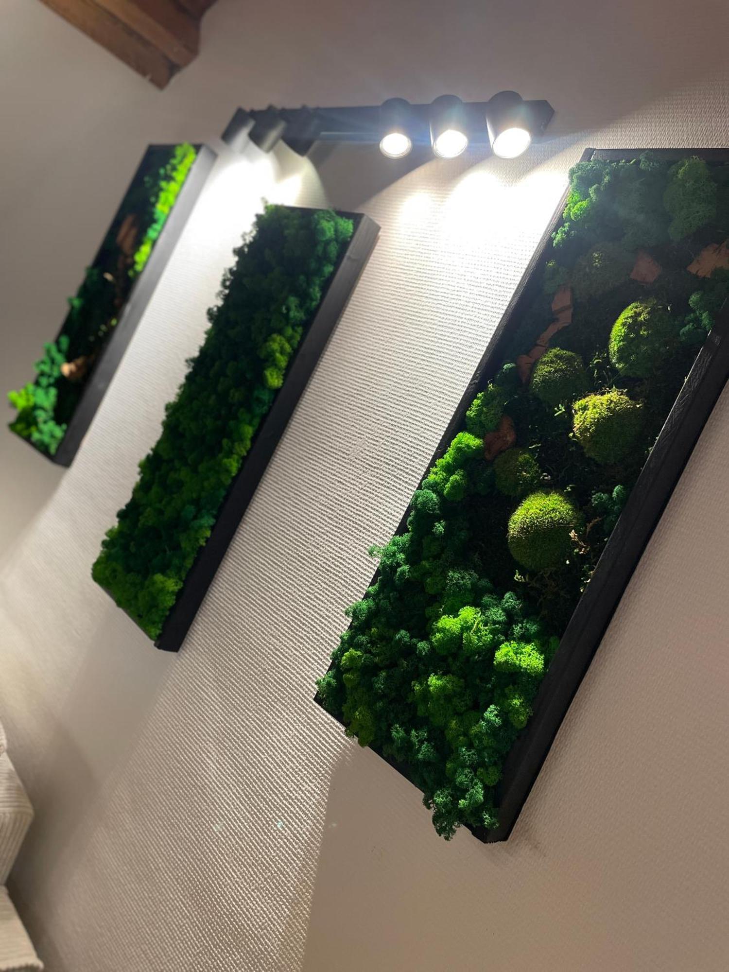 Apartment Attic European Quarter Brussels