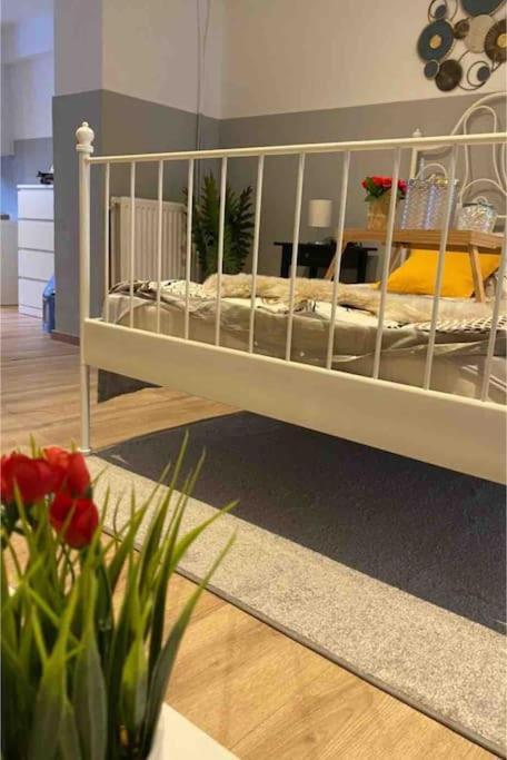 Superbe Full Equipe Avec Cour Exterieur