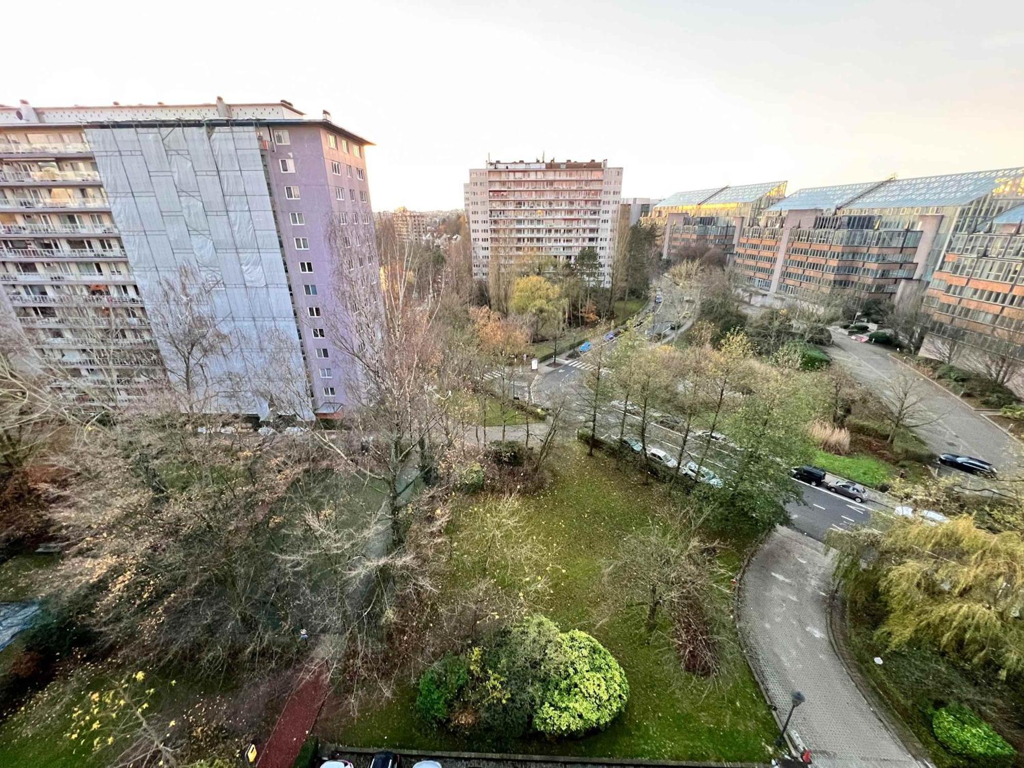 Elegant 2pcs Proche *