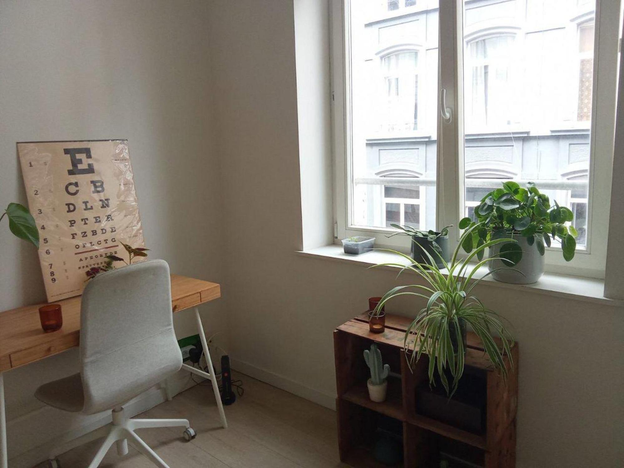Beautiful Apart In Heartcity Brussels