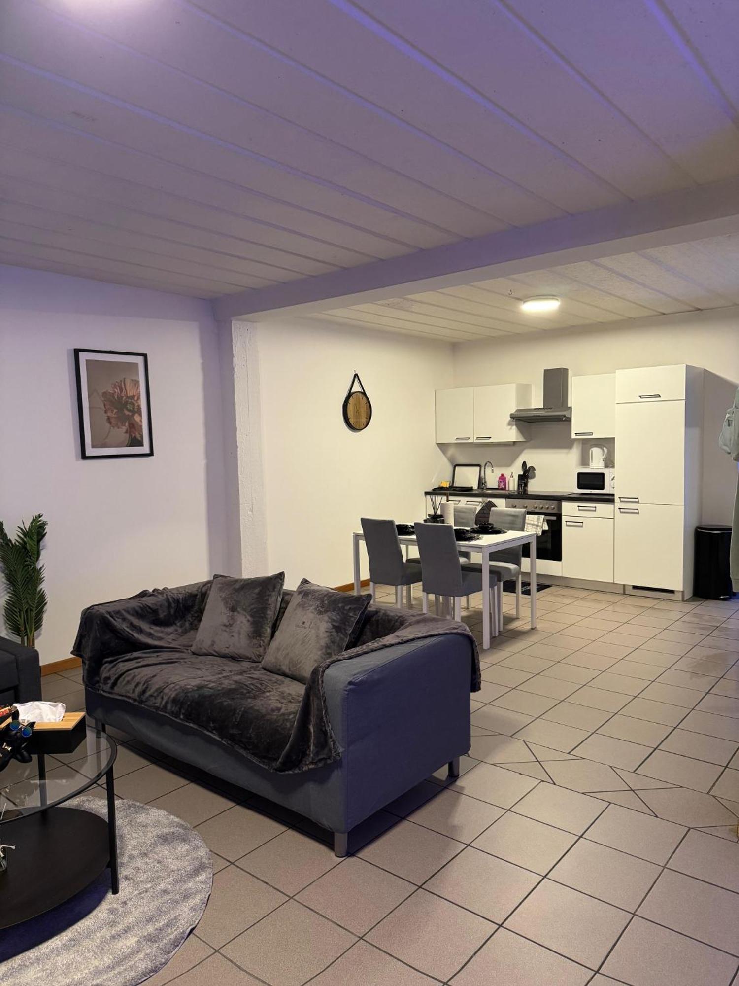 De Luxe Entierement Renove - Proche Aeroport De Bruxelles, Quartier Chic Brussels