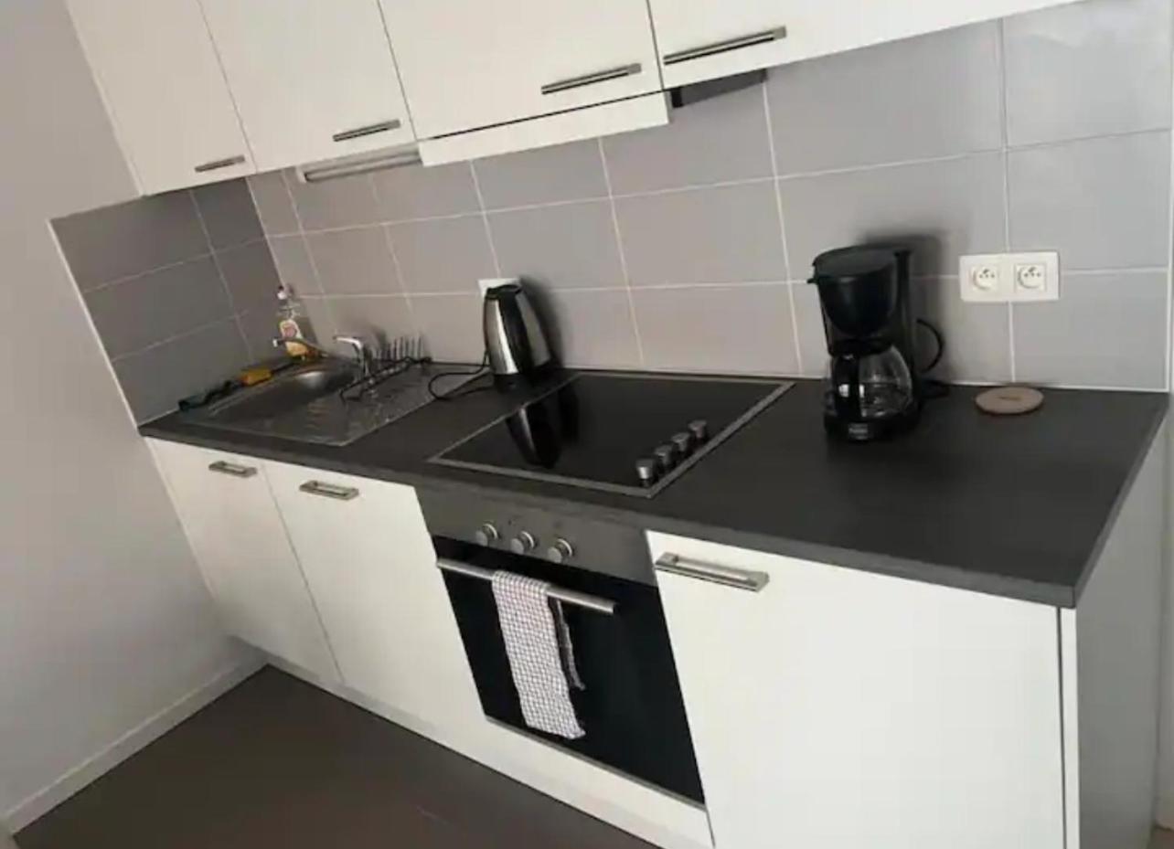 European Parliament *