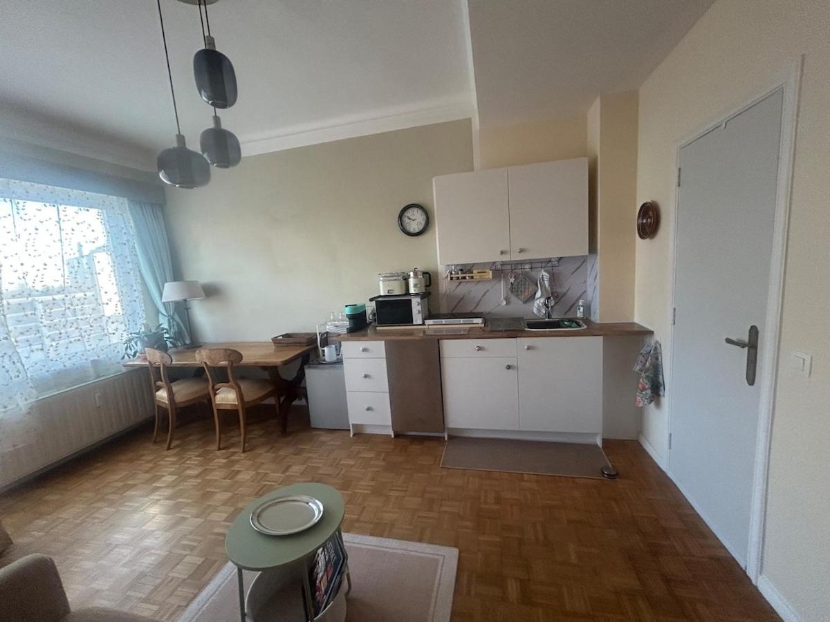 Beautiful Penthouse Brussels