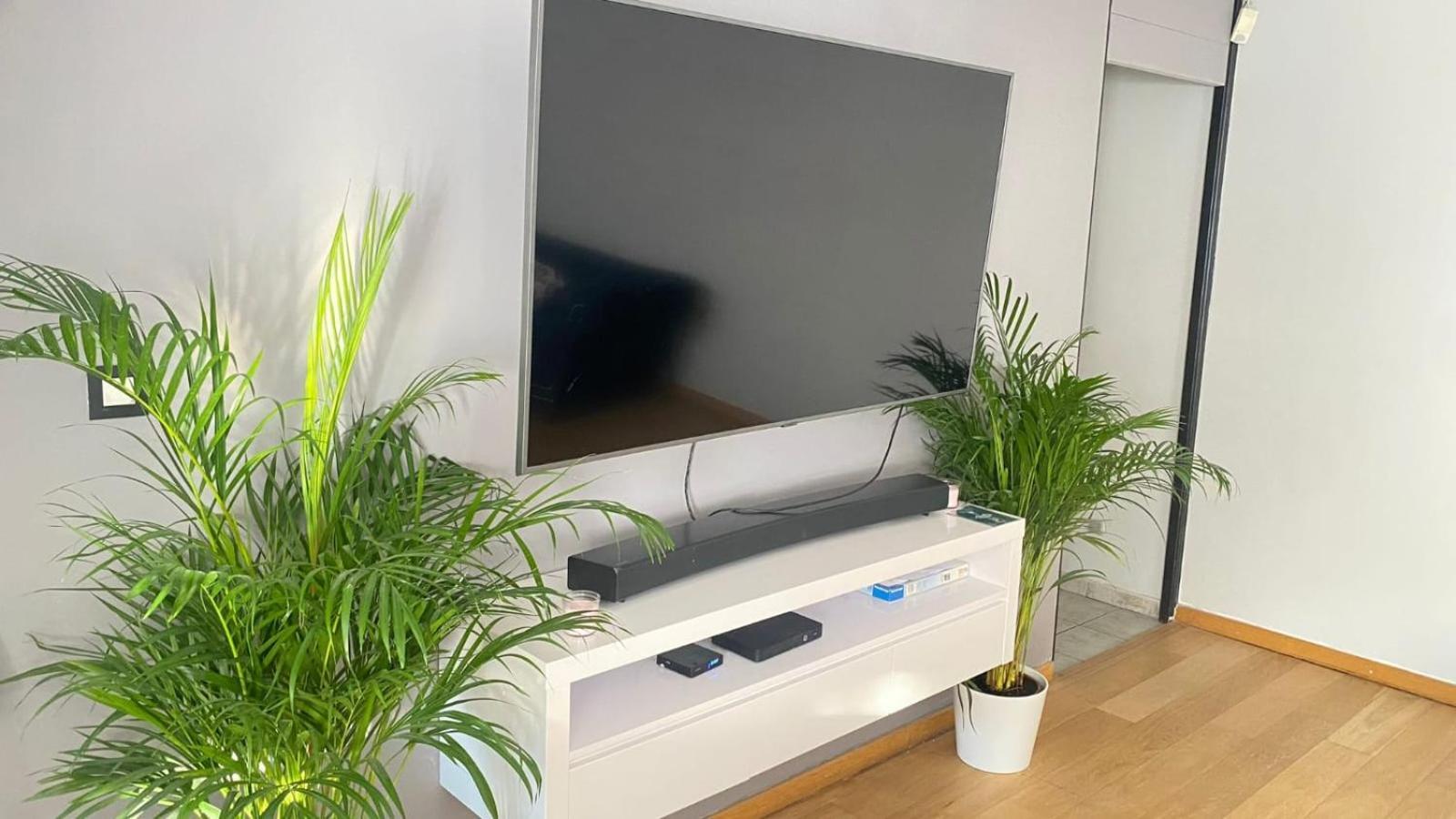 Strelitzyahouse Brussels