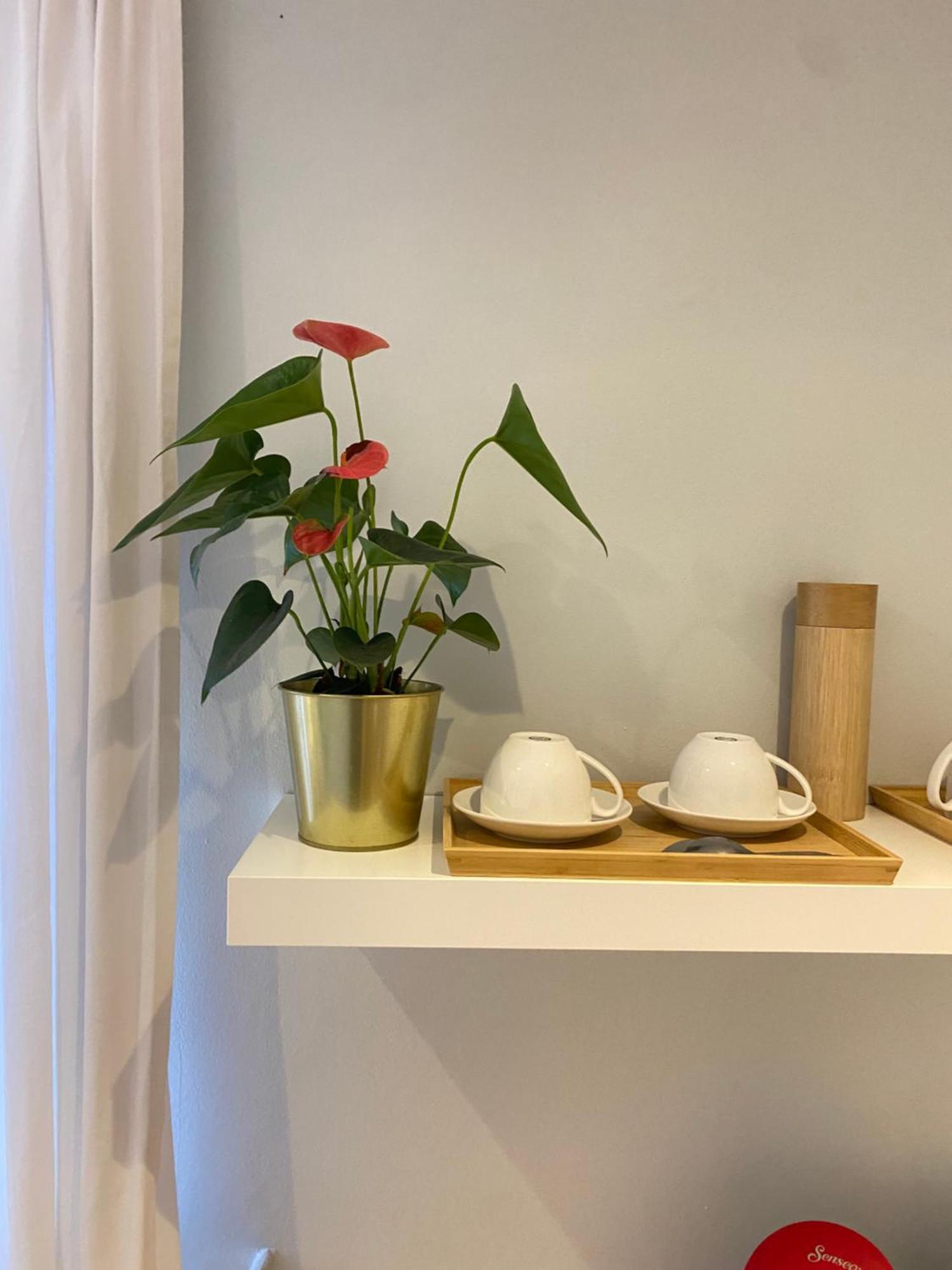 Appartement Chambre Chants D'oiseaux