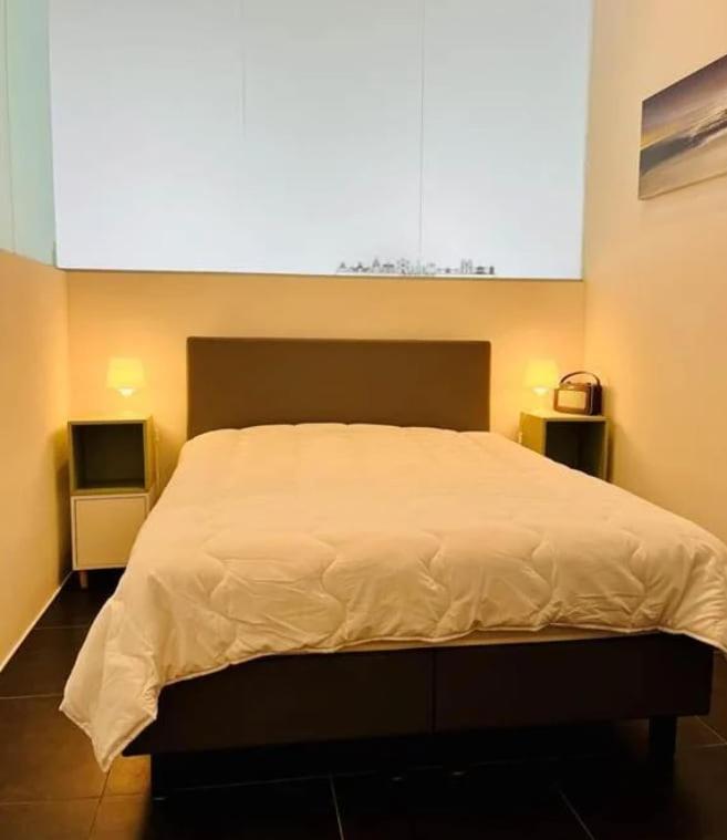 Dansaert Bright Loft Apartment