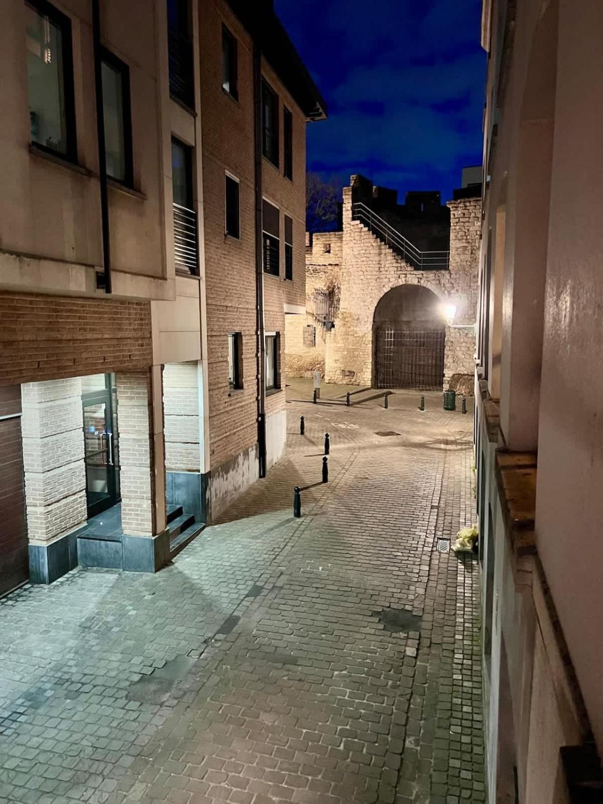 Loft Matyse - 3 Min To Manneken Pis Apartment