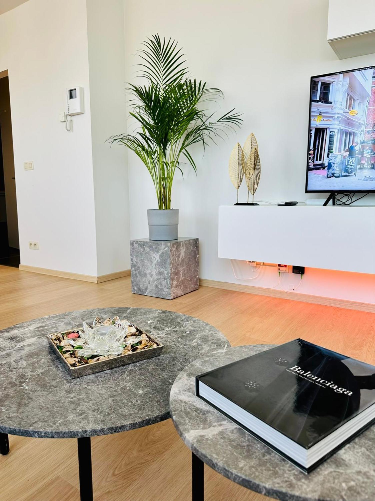 Penthouse Grand Place - 2bd - 200sqm Terrace Brussels