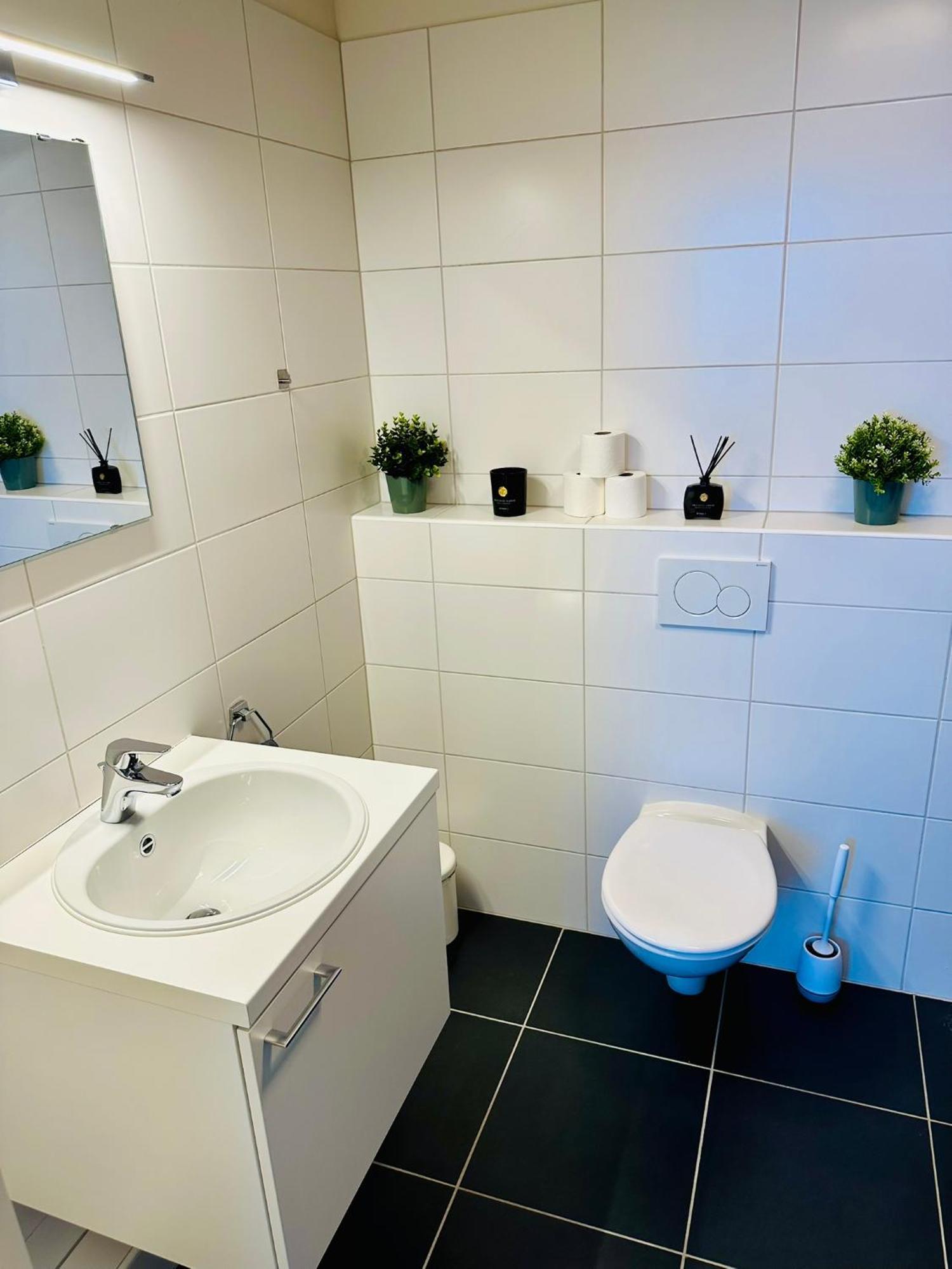 Apartment Penthouse Grand Place - 2bd - 200sqm Terrace