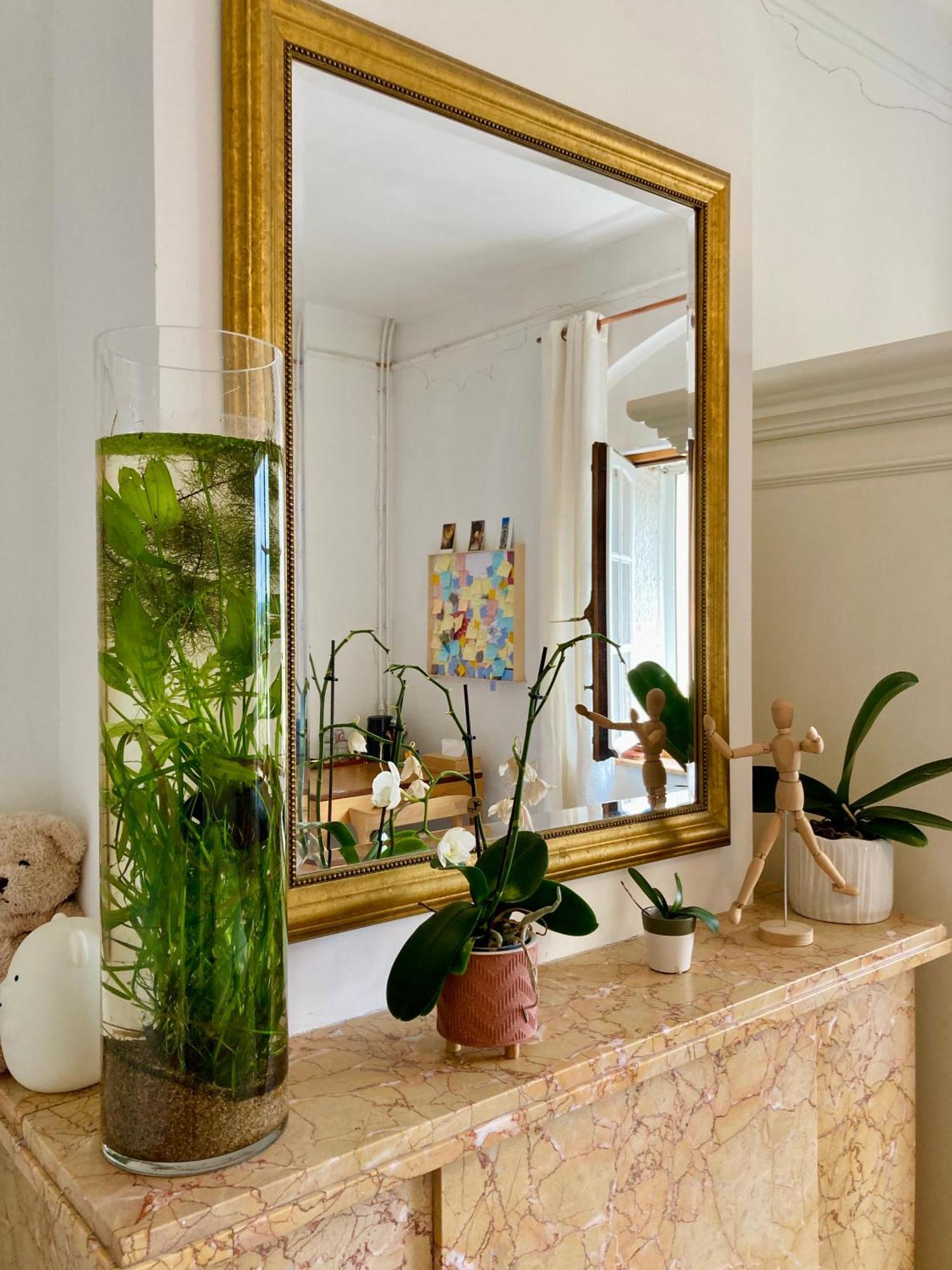 Homestay Calm, & Birdsong *