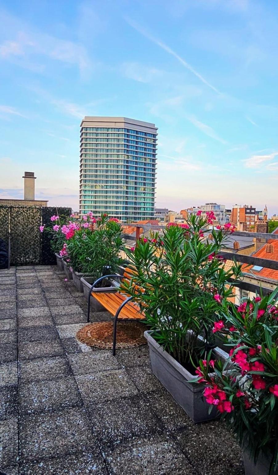 Penthouse Lumineux Avec Grande Terrasse De 40m2