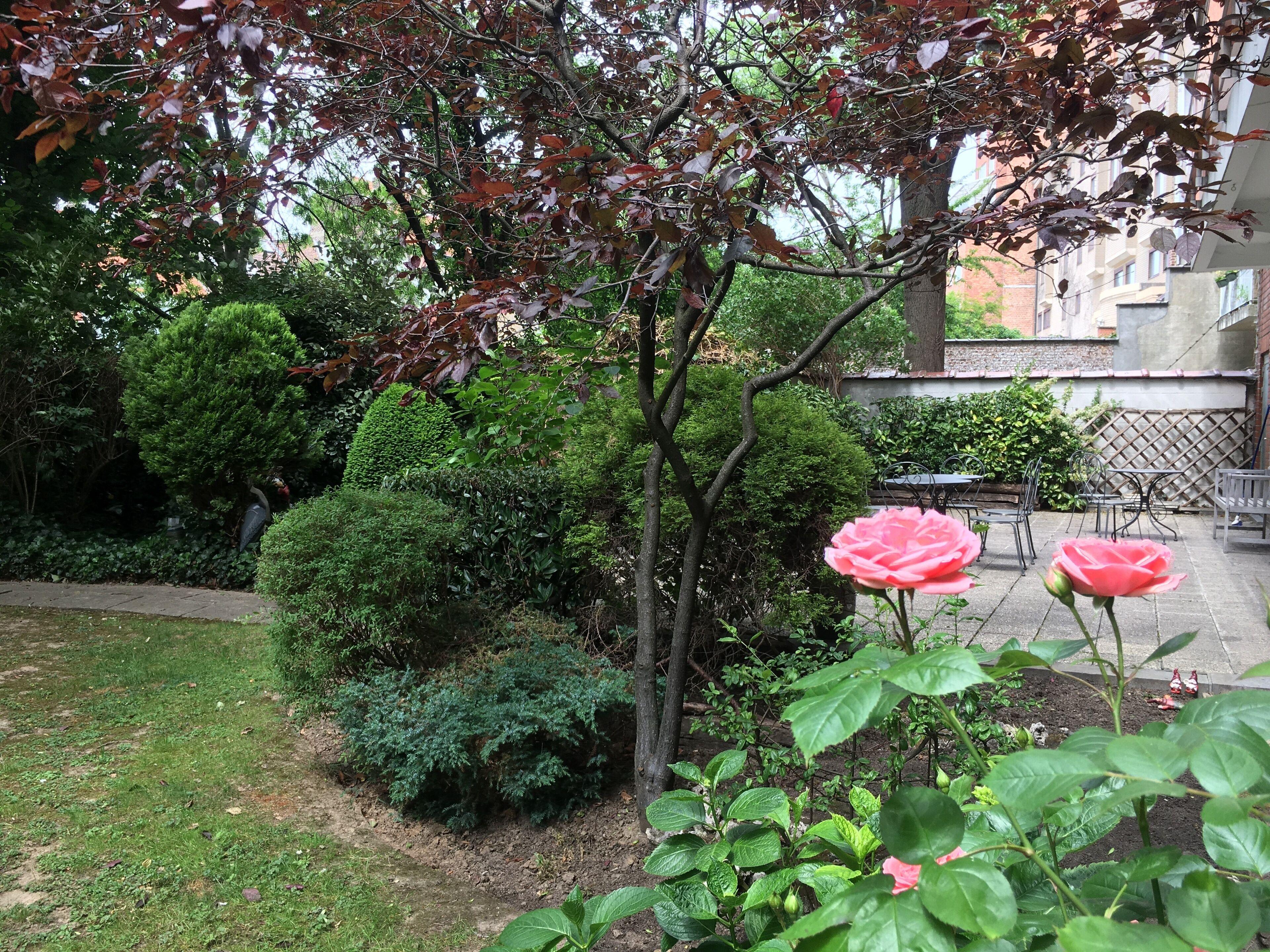 First Euroflat 4* Brussels