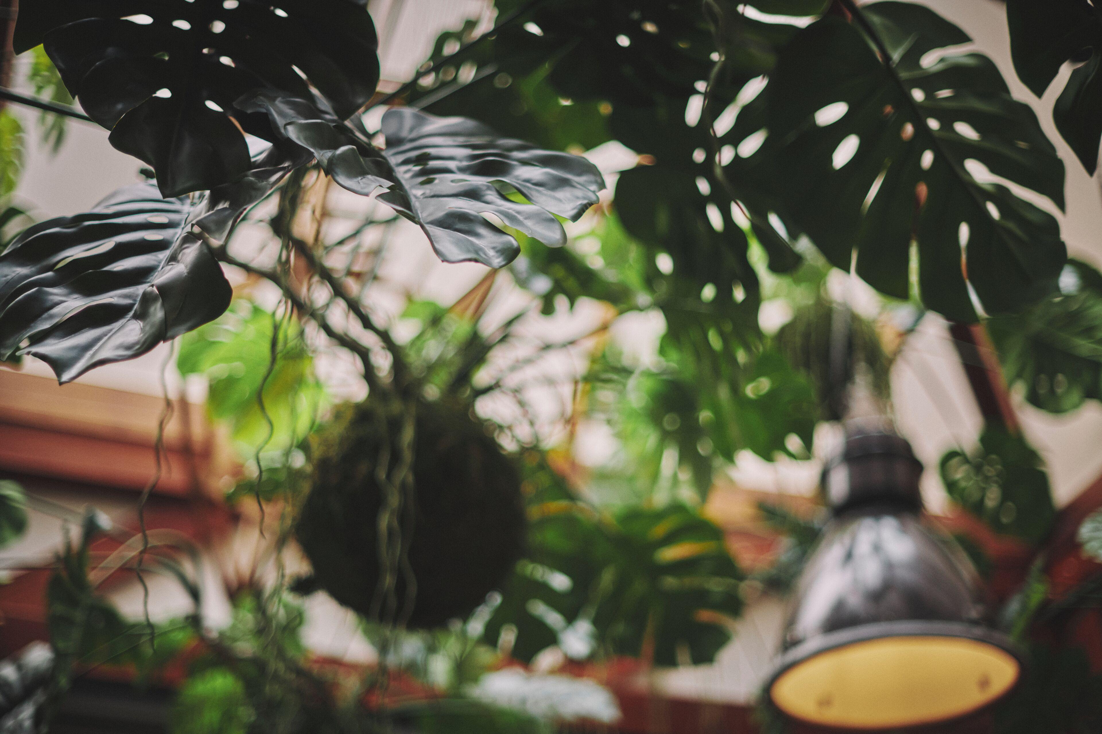 The Legacy By 2go4 Center Brussels