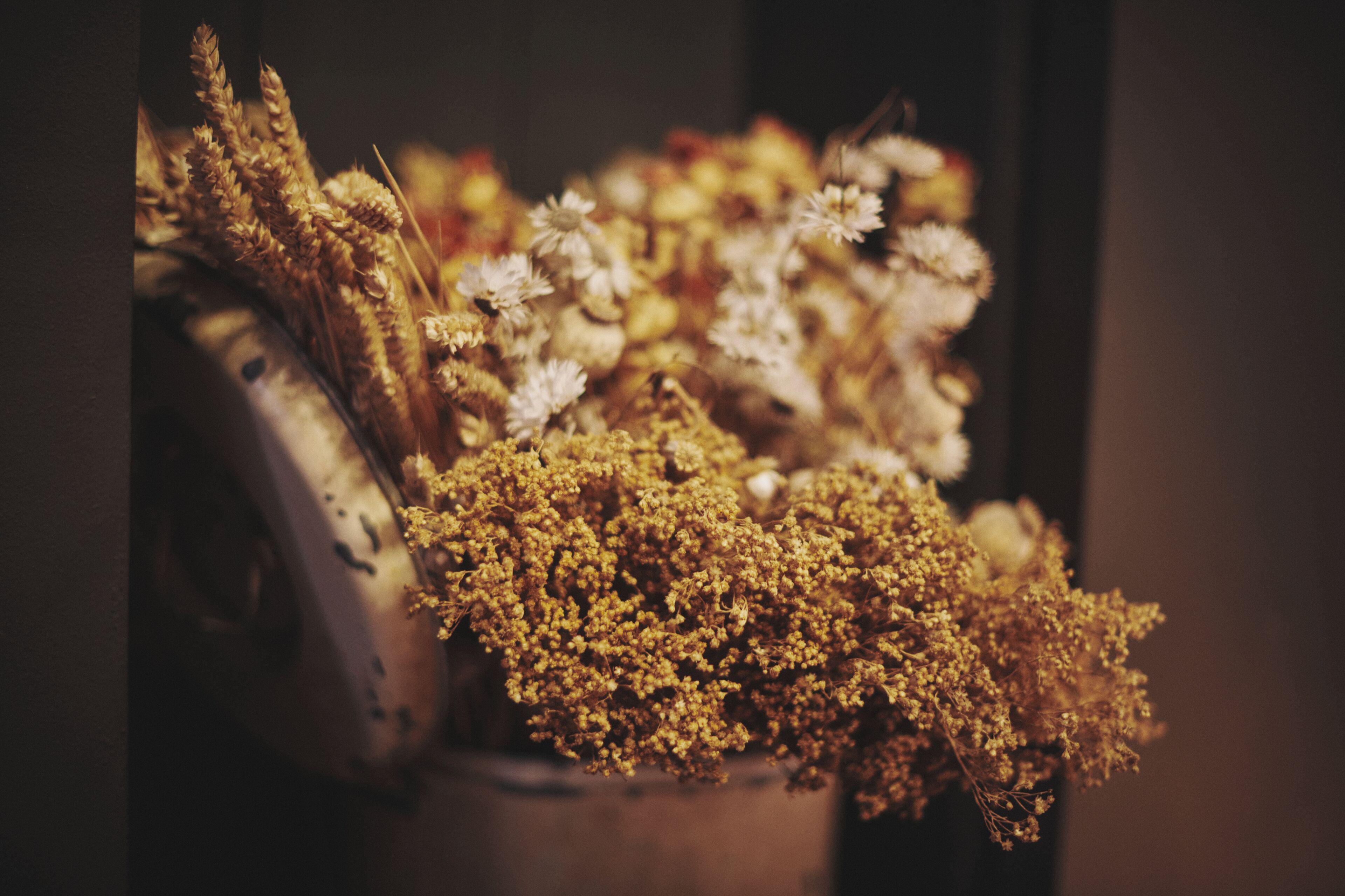 The Legacy By 2go4 Center * Brussels