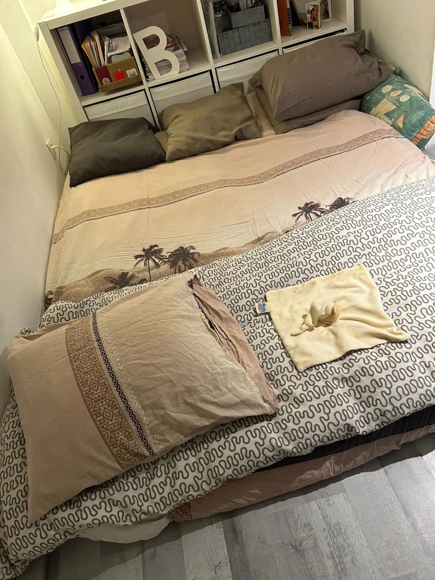 Homestay Belle De 1,30 Cm De Hauteur A Midi Brussels