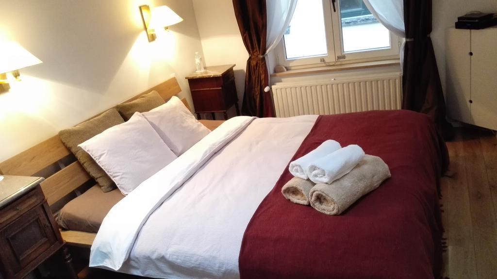 Chien Marin Appartement
